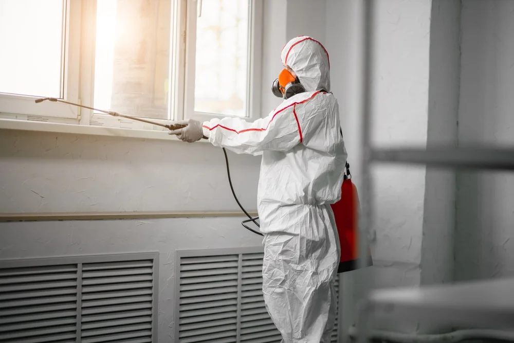 Professional mold remediation services in Pascoag, RI